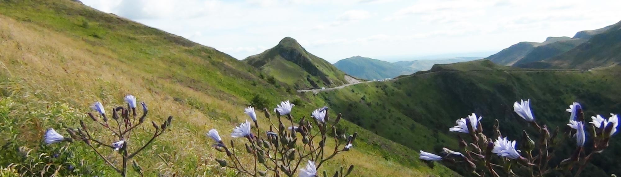 paysage cantal