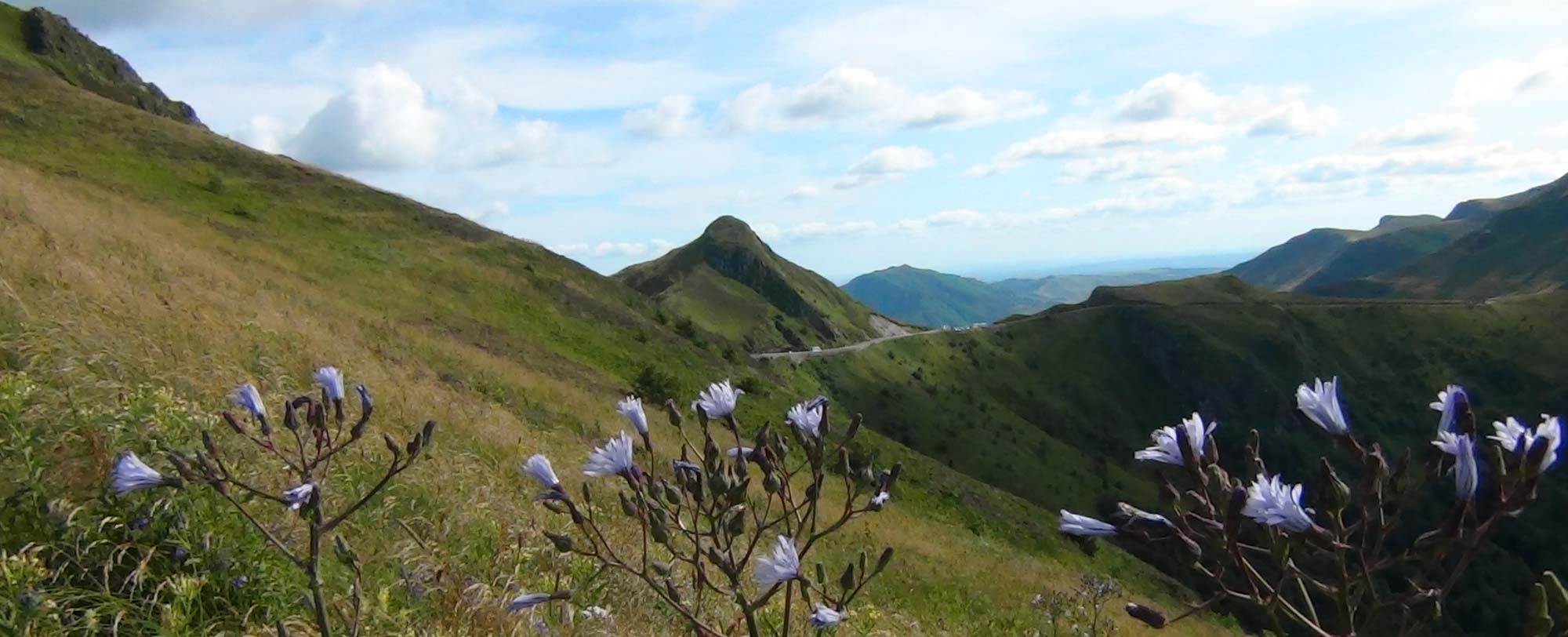 gite de groupe dans le cantal